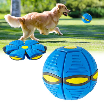 Interactive Flying Saucer Disc Ball