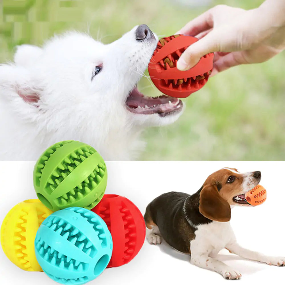 Pet Toys
